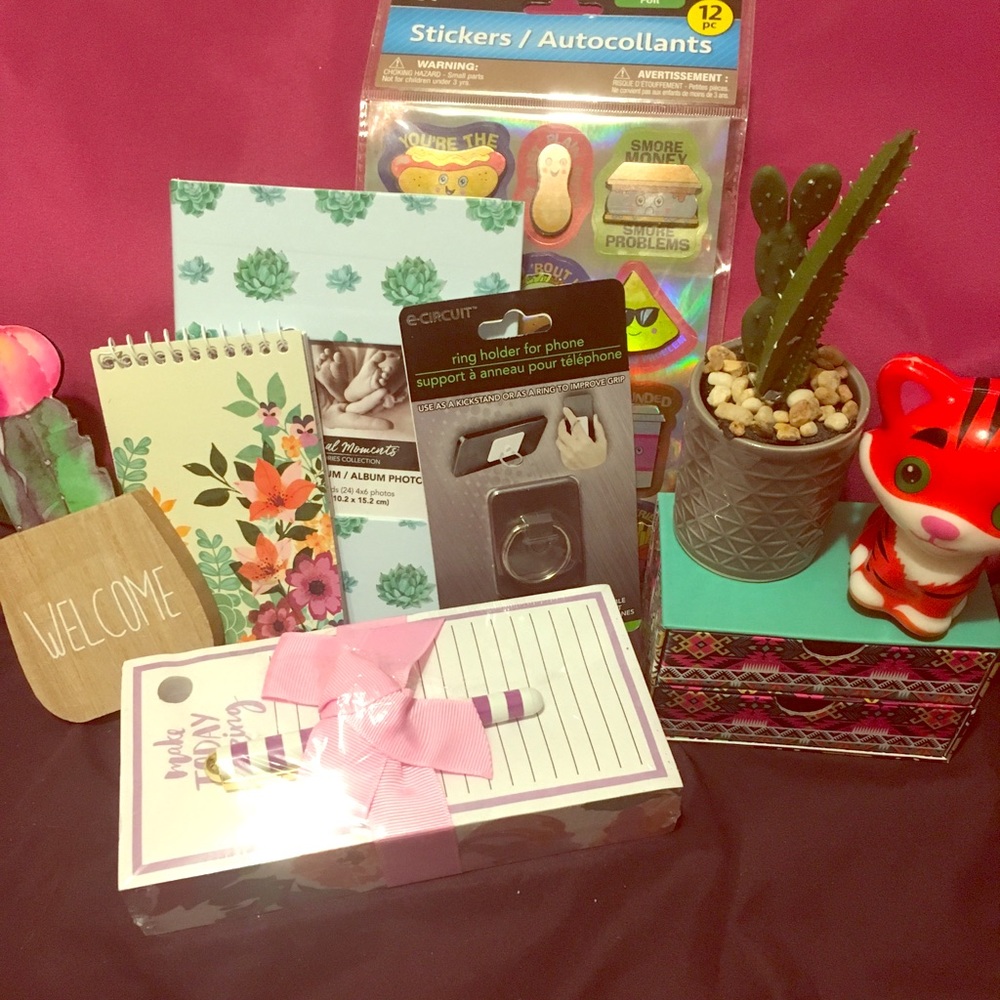 Succulent boho cute office gift set